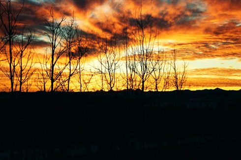 Calgary Sunset